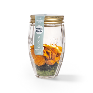 DTX SMOOTHIE PLUS - Wildheidelbeere, Spirulina, Dulse Alge