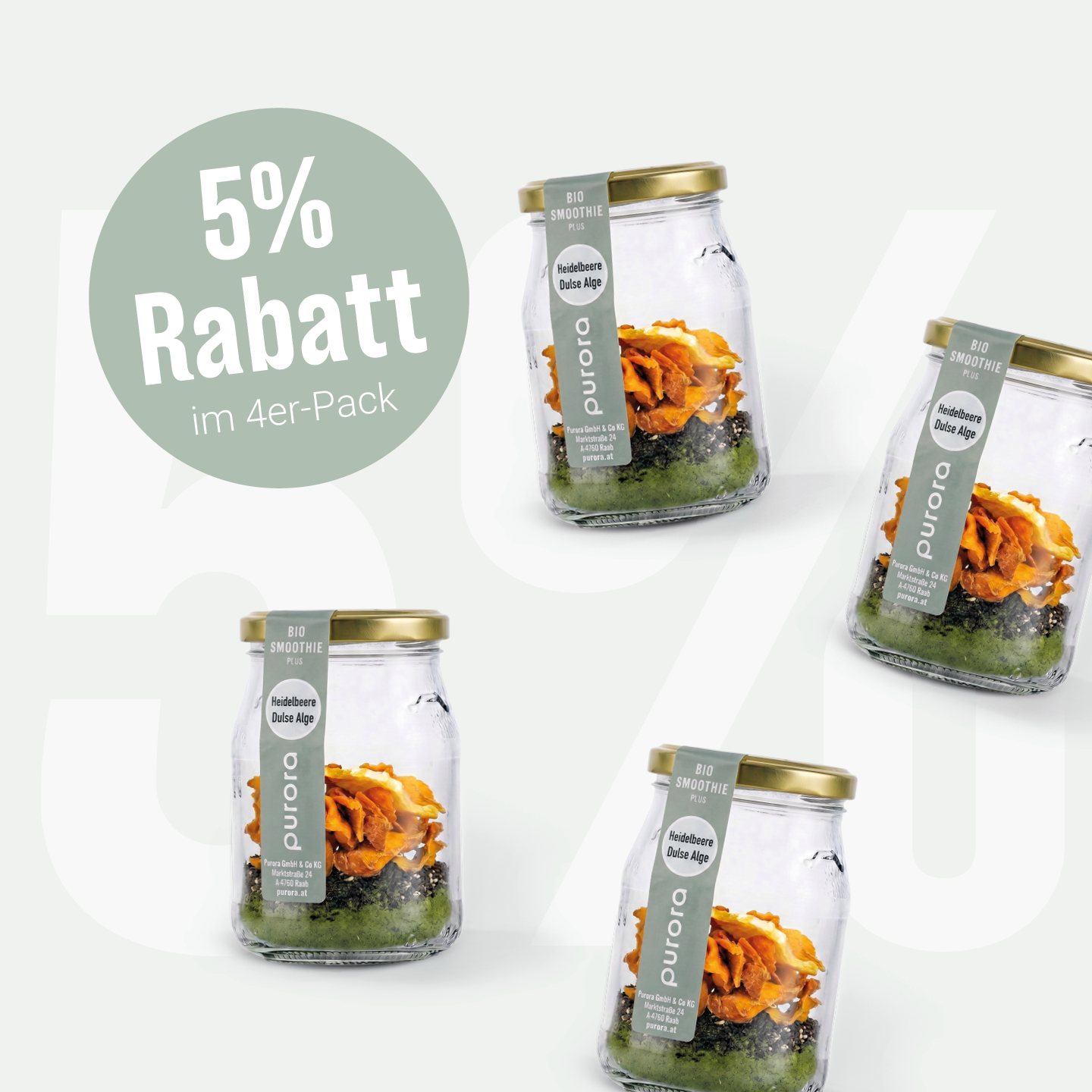 DTX SMOOTHIE PLUS - Wildheidelbeere, Spirulina, Dulse Alge