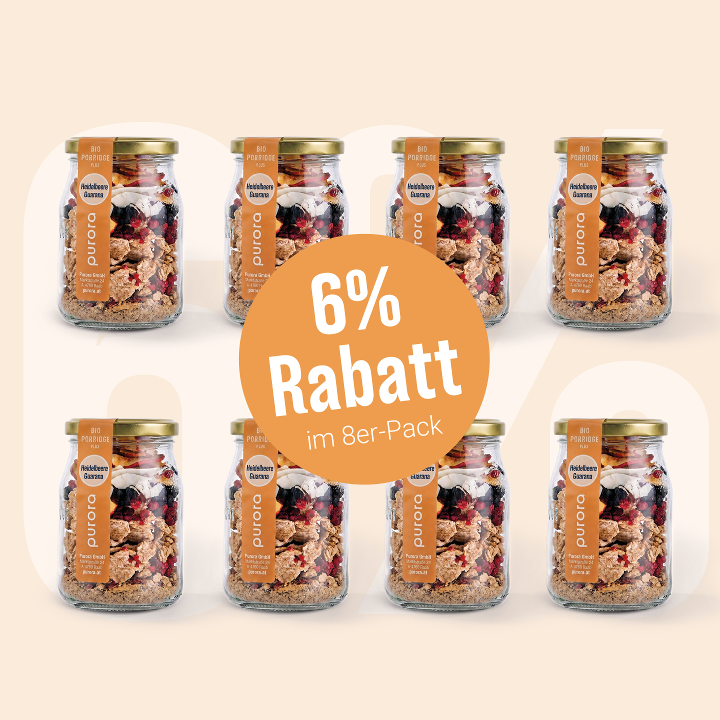 PORRIDGE PLUS - Wildheidelbeere, Apfel, Guarana