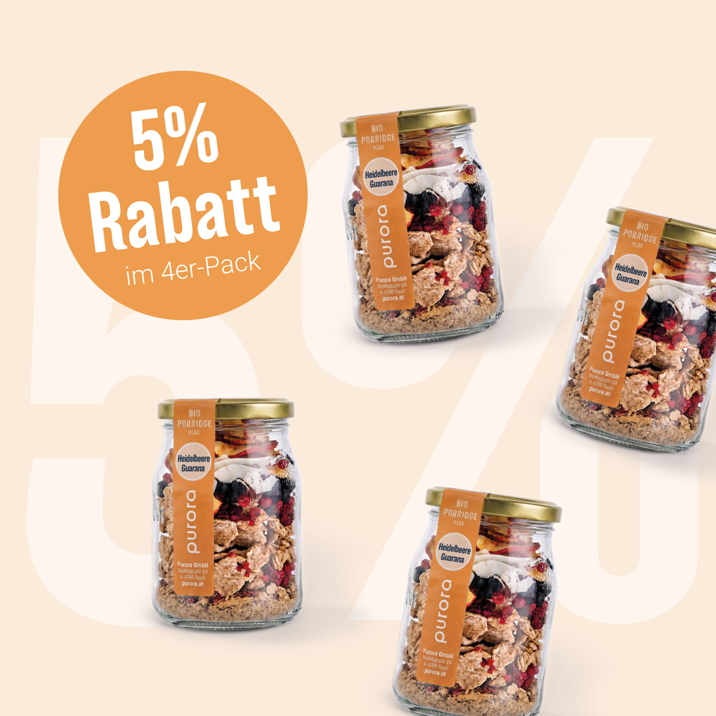 PORRIDGE PLUS - Wildheidelbeere, Apfel, Guarana