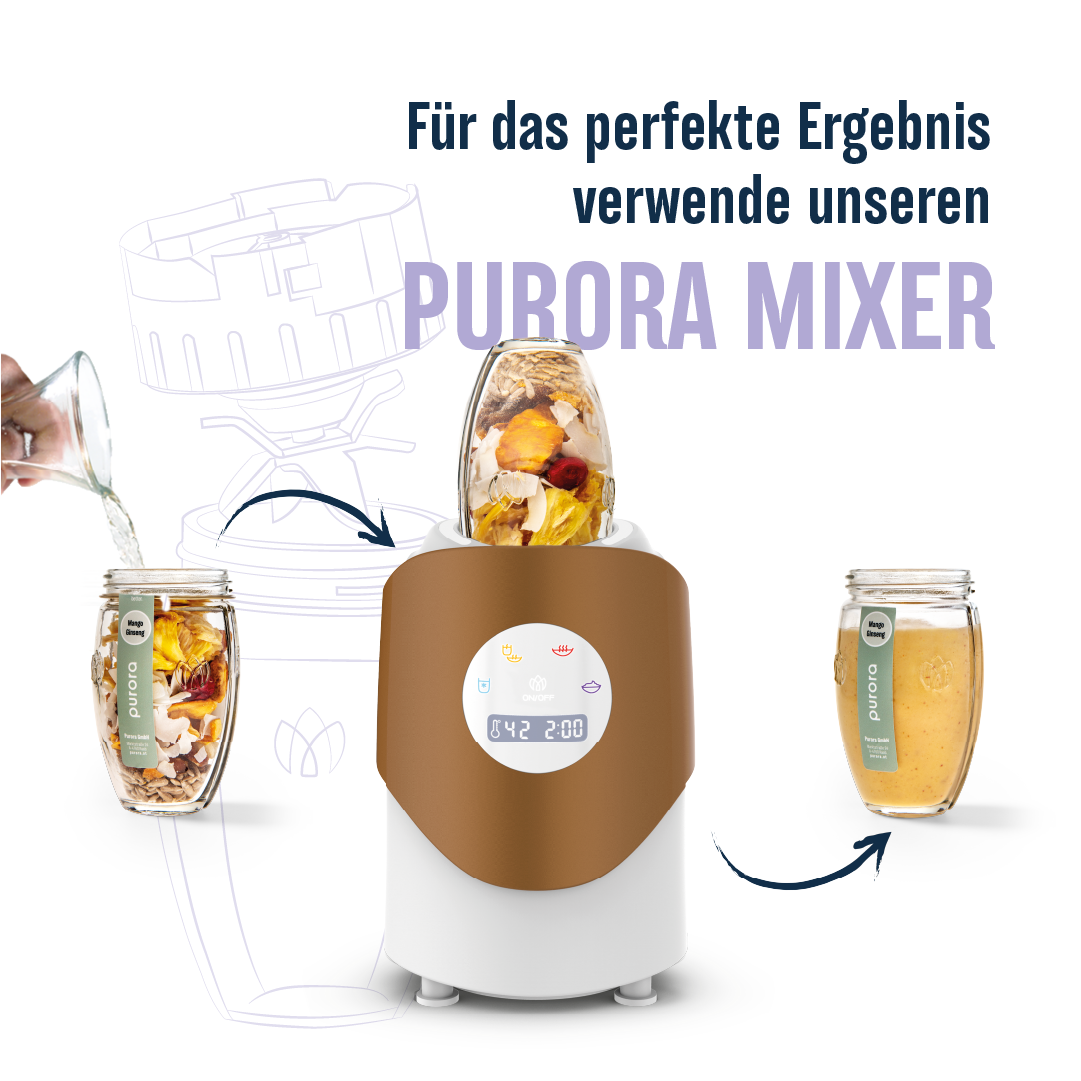 DTX SMOOTHIE PLUS - Wildheidelbeere, Spirulina, Dulse Alge