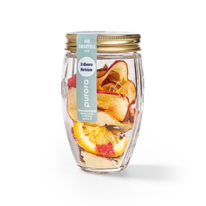 DTX SMOOTHIE PLUS - Erdbeere, Orange, Hericium