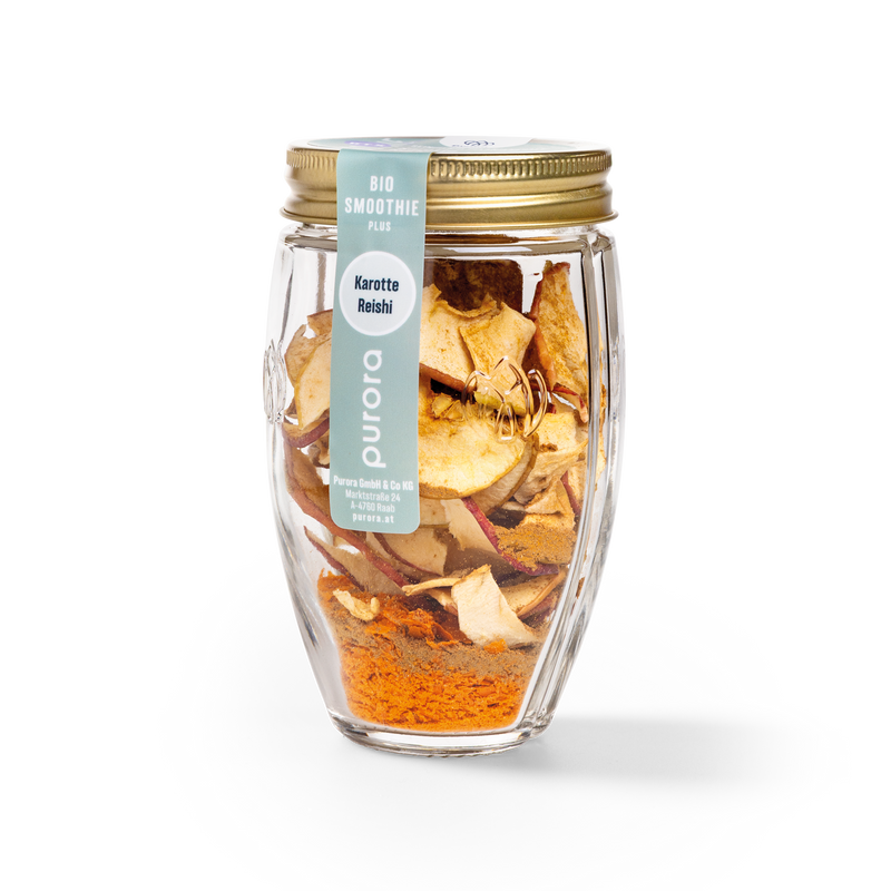 DTX SMOOTHIE PLUS - Karotte, Kurkuma, Reishi