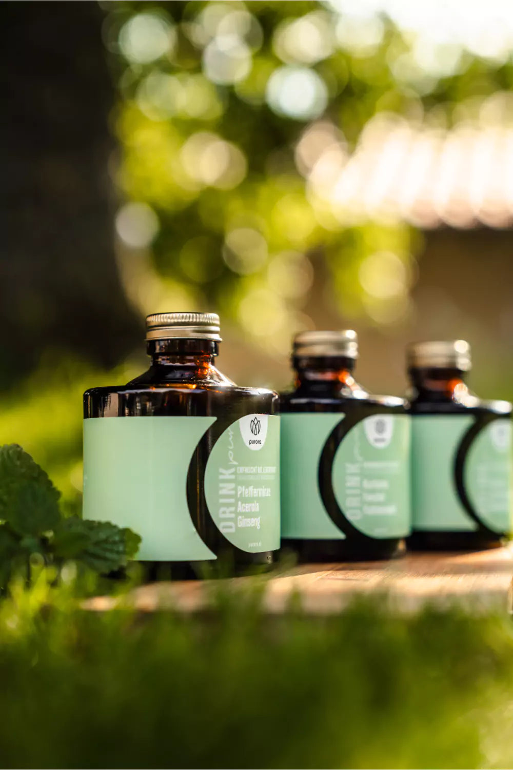 Bio Sirup - Pfefferminze, Acerola, Ginseng